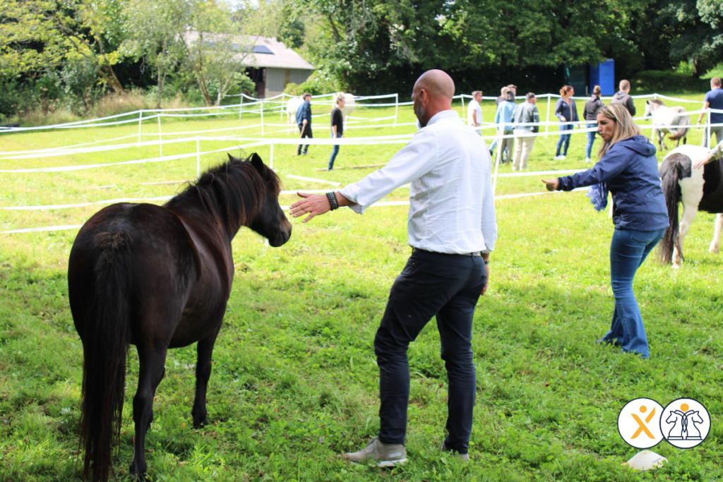 Team building Séminaire Elodie Serpe Equicoaching LeadXP 5