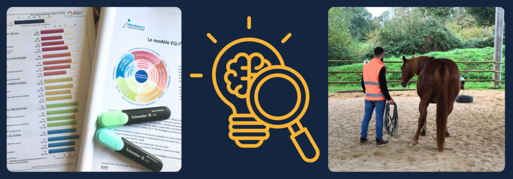 diagnostique EQi intelligence émotionnelle et séance d'équicoaching avec le cheval illustrant le Bilan de positionnement leadership_Elodie Serpe Equicoaching
