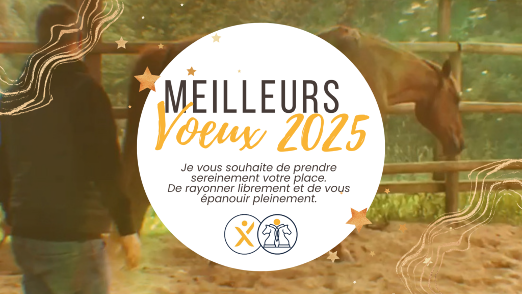 voeux 2025 Prenez votre place et développez votre leadership_Elodie Serpe Equicoaching