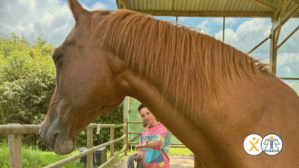 séance d'équicoaching la cliente tend la main vers le cheval qui bloque