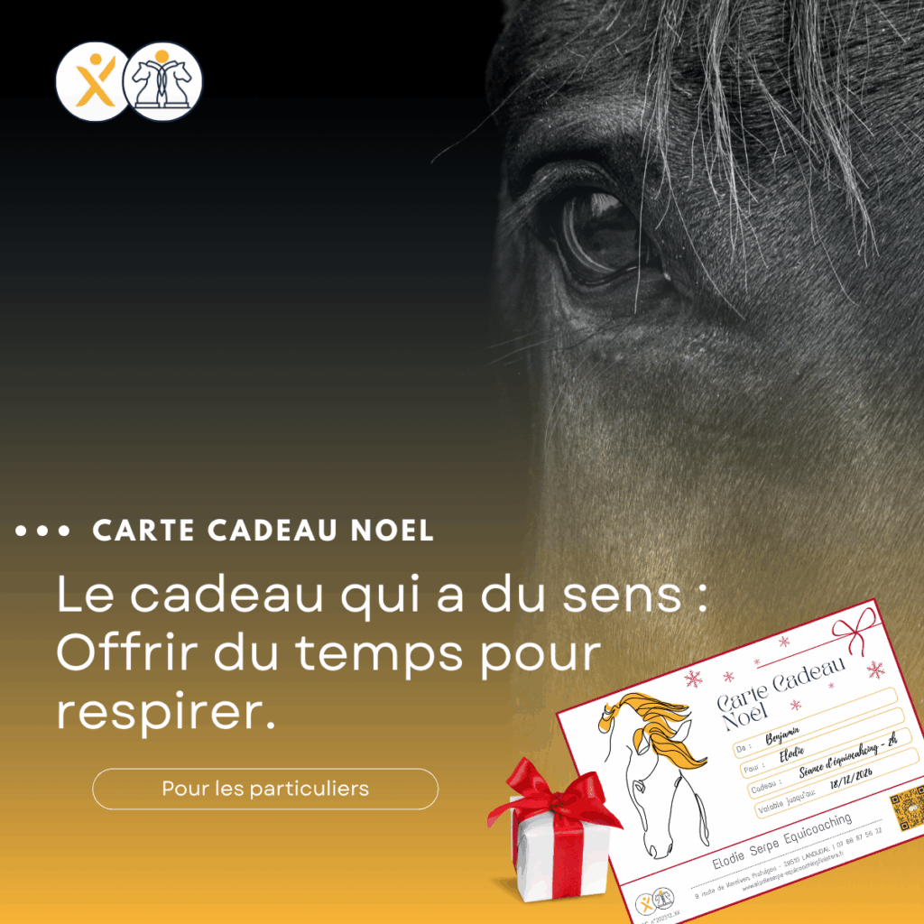 carte cadeau noel équicoaching