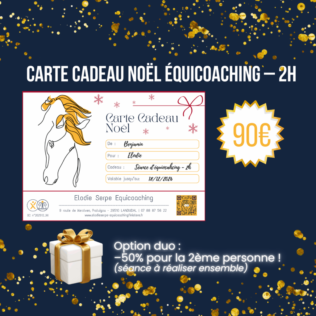 carte cadeau noel équicoaching
