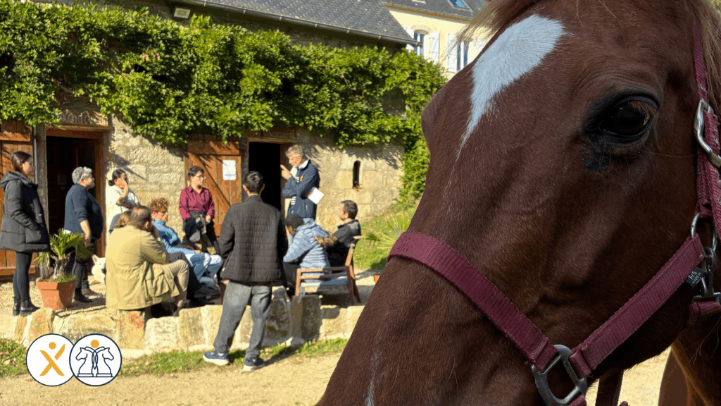 Neutre, posée, complète : l’analyse qui mène à la bonne décision_Elodie Serpe Equicoaching_Leadership Expérience