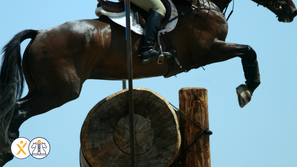 Article_Faire un choix : le défi de la prise de décision_Elodie Serpe Equicoaching_Leadership Expérience