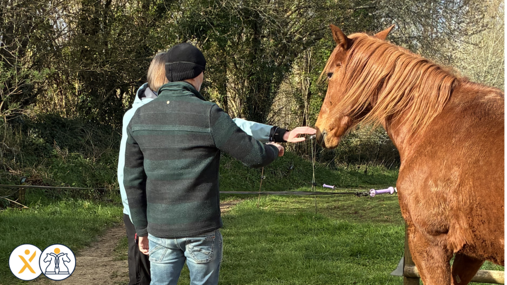 Oser-essayer-_-ce-que-le-cheval-revele-de-notre-facon-dagir_Elodie-Serpe-Equicoaching_Leadership-Experience